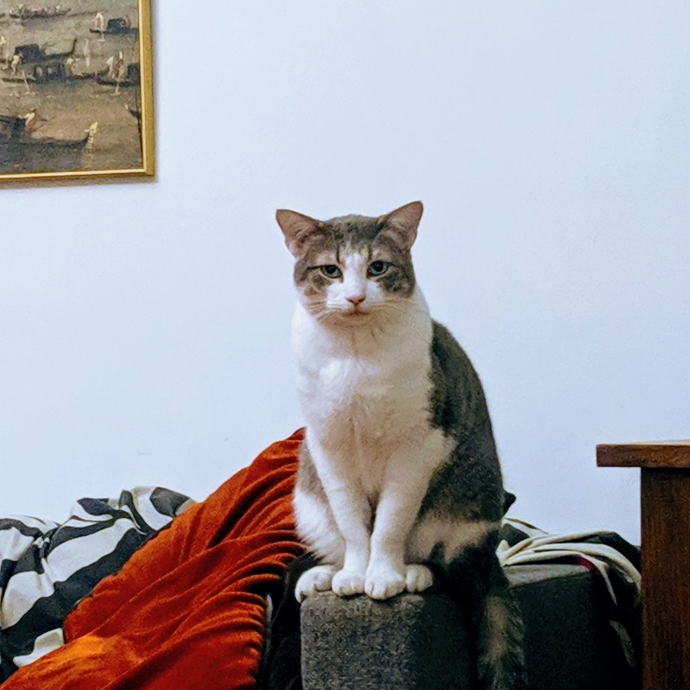 Meet your Posher, Bilgesu